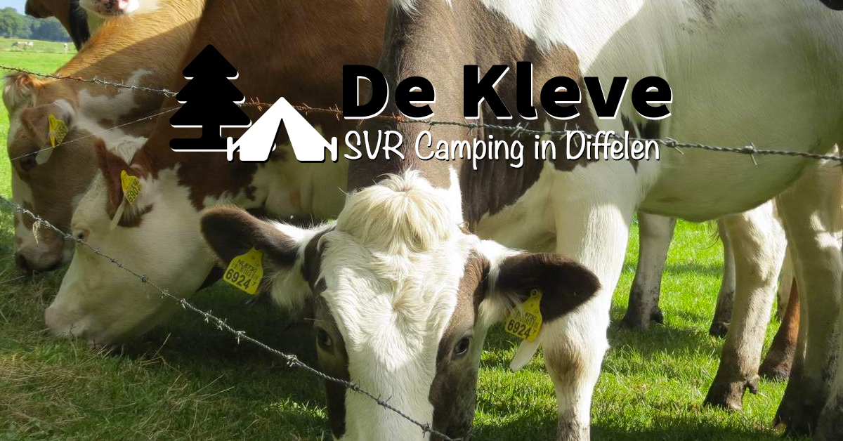 De Kleve — photo 3