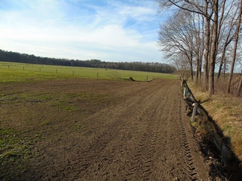 het graszaad zit erin. Nu moet de zon en zo af en toe een beetje regen het werk doen....